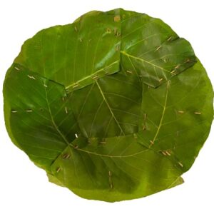 टपरी Tapari