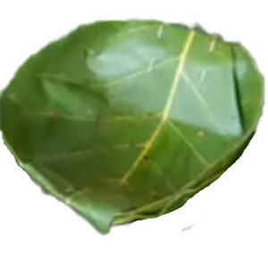 दुना Duna