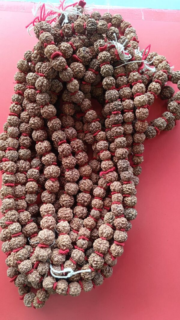 Rudraksha mala रुद्राक्ष माला