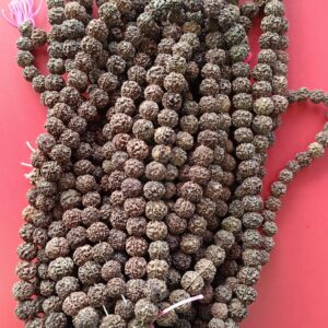 rudraksha mala रुद्राक्ष माला