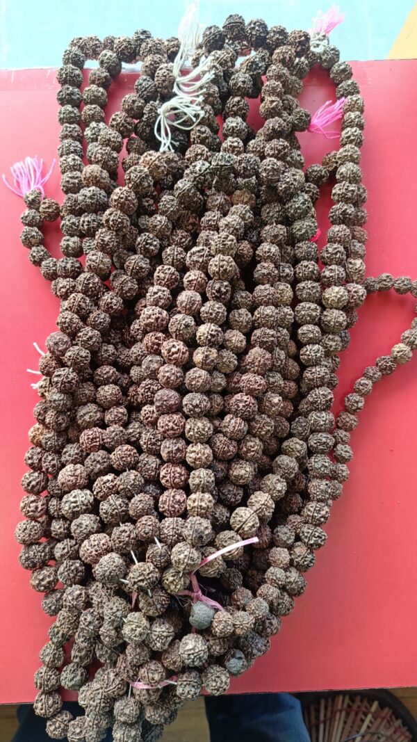 rudraksha mala रुद्राक्ष माला