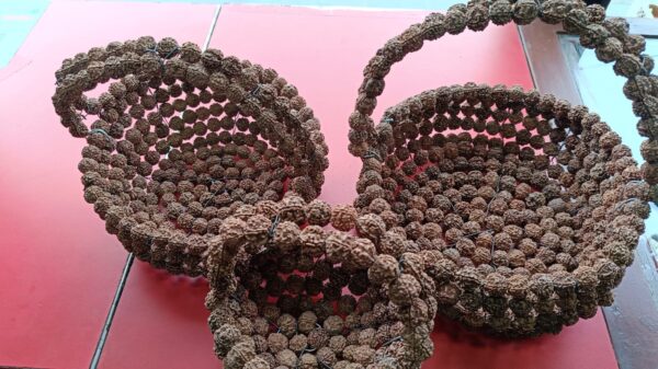 Rudraksha ko tokari रुद्राक्षको टोकरी