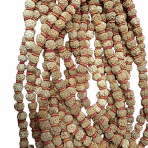 रुद्राक्ष माला Rudraksha mala